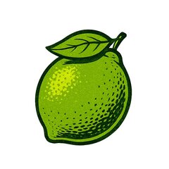 Lime