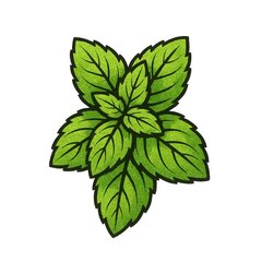 Munt/mint