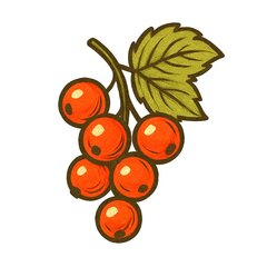 Red Berries