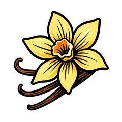 Vanilla